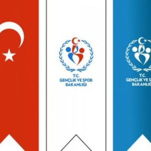 Kırlangıç Bayrak